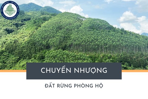 Cá nhân có được nhận chuyển nhượng đất rừng phòng hộ khi không sinh sống tại đó không?