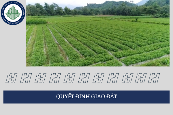 Khi nào giao đất đang có người sử dụng cho người khác?