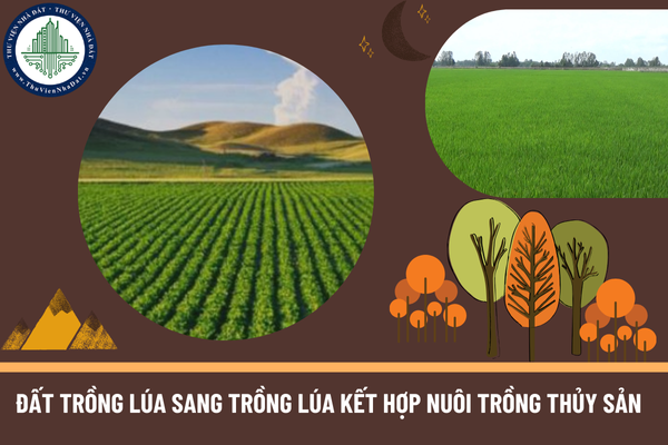 Diện tích tối đa được sử dụng khi chuyển đổi đất trồng lúa sang trồng lúa kết hợp nuôi trồng thủy sản là bao nhiêu?