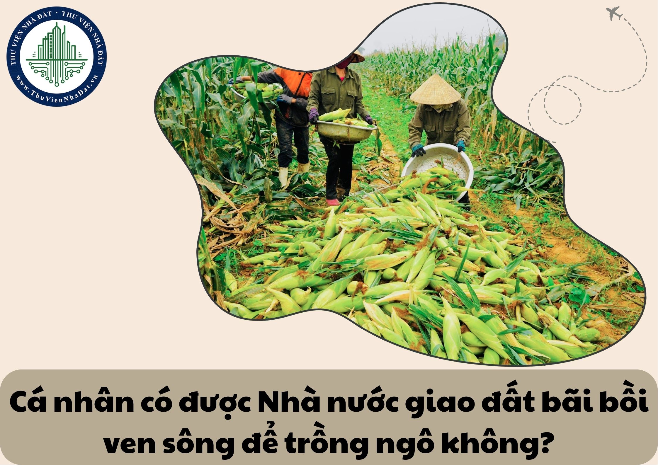 Cá nhân có được Nhà nước giao đất bãi bồi ven sông để trồng ngô không?