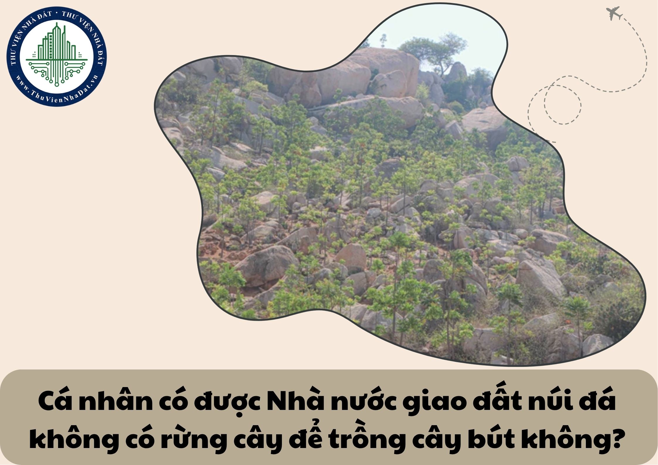 Cá nhân có được Nhà nước giao đất núi đá không có rừng cây để trồng cây bút không?