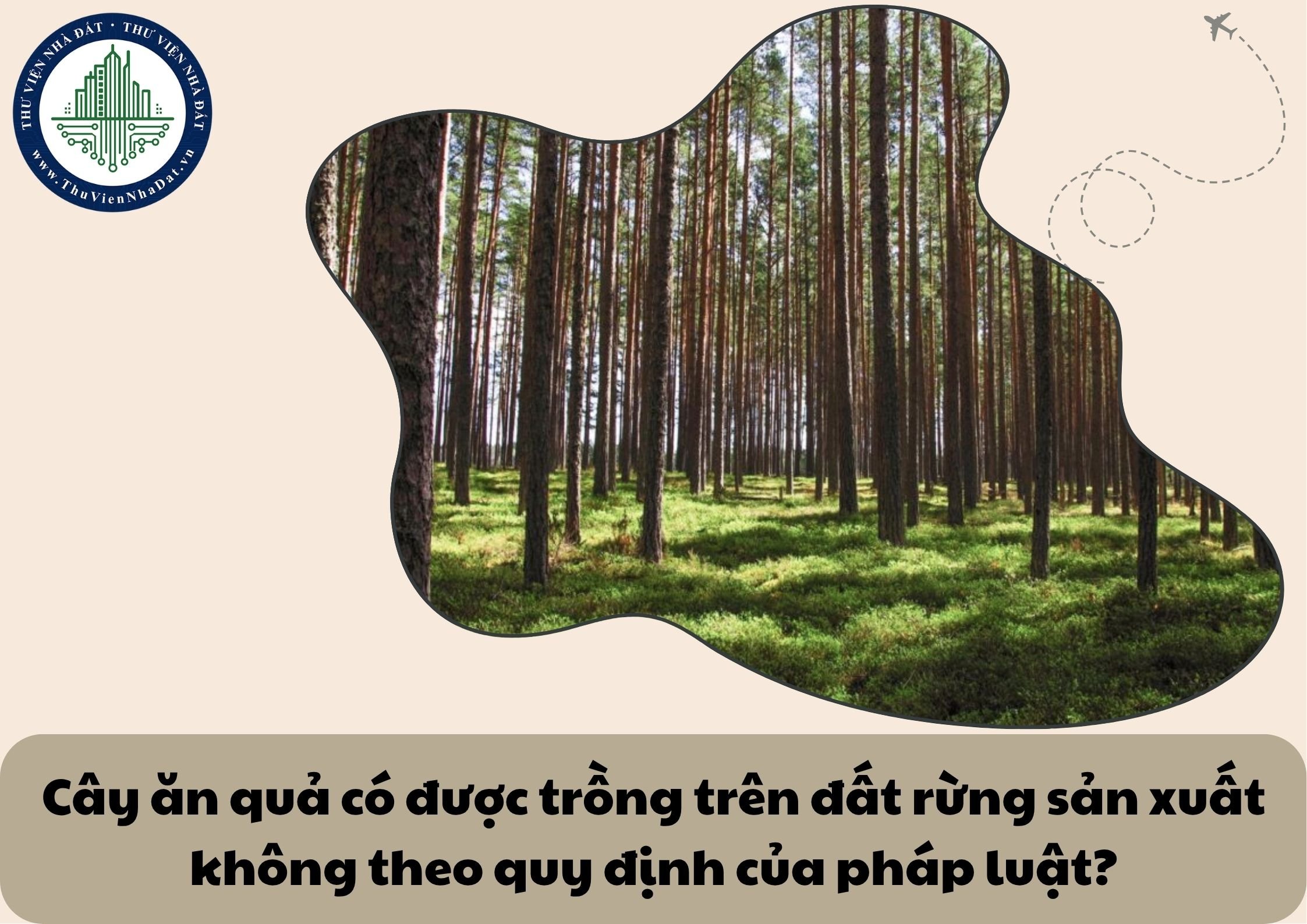 Cây ăn quả có được trồng trên đất rừng sản xuất không theo quy định của pháp luật?