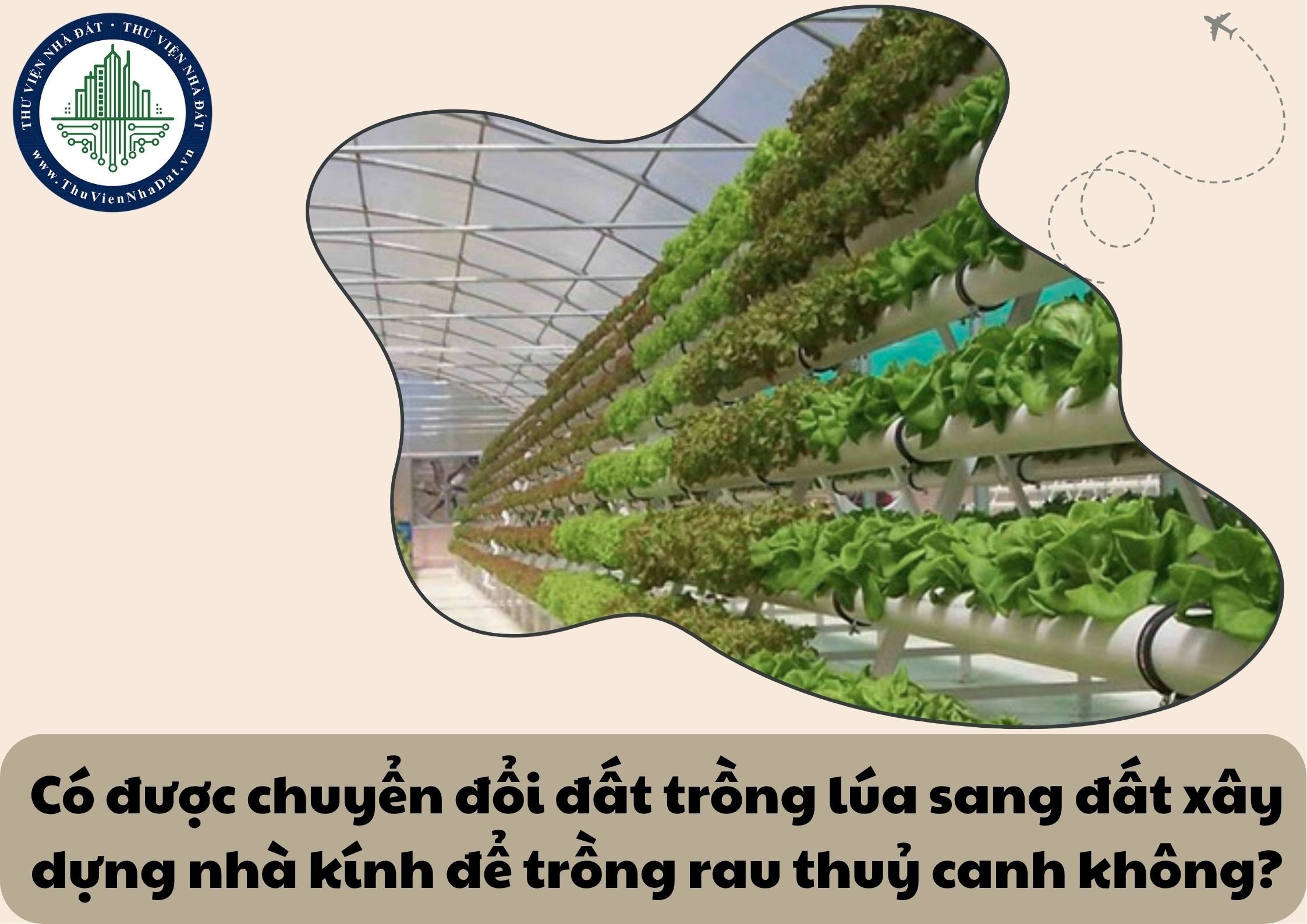 Có được chuyển đổi đất trồng lúa sang đất xây dựng nhà kính để trồng rau thuỷ canh không?