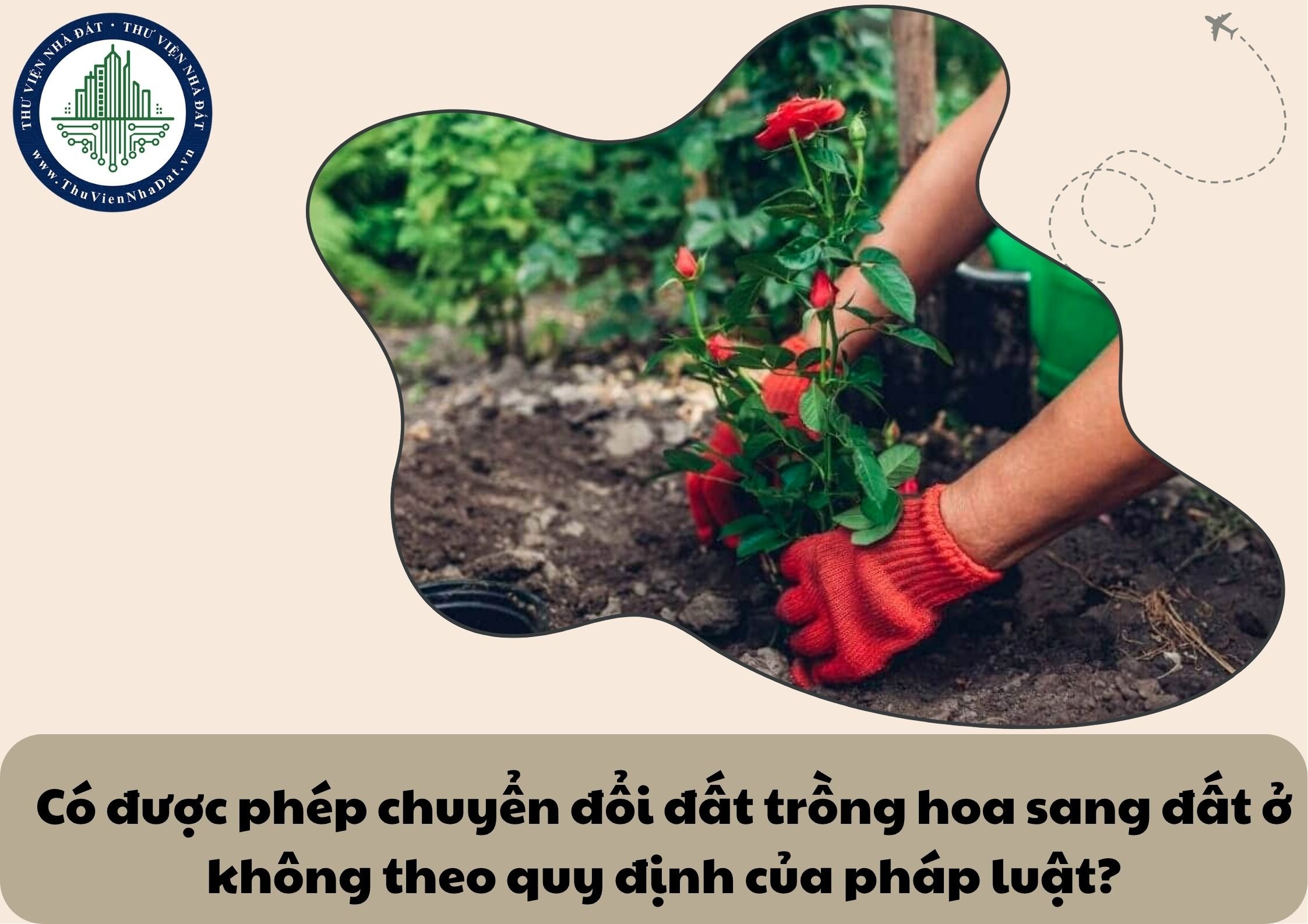 Có được phép chuyển đổi đất trồng hoa sang đất ở không theo quy định của pháp luật?