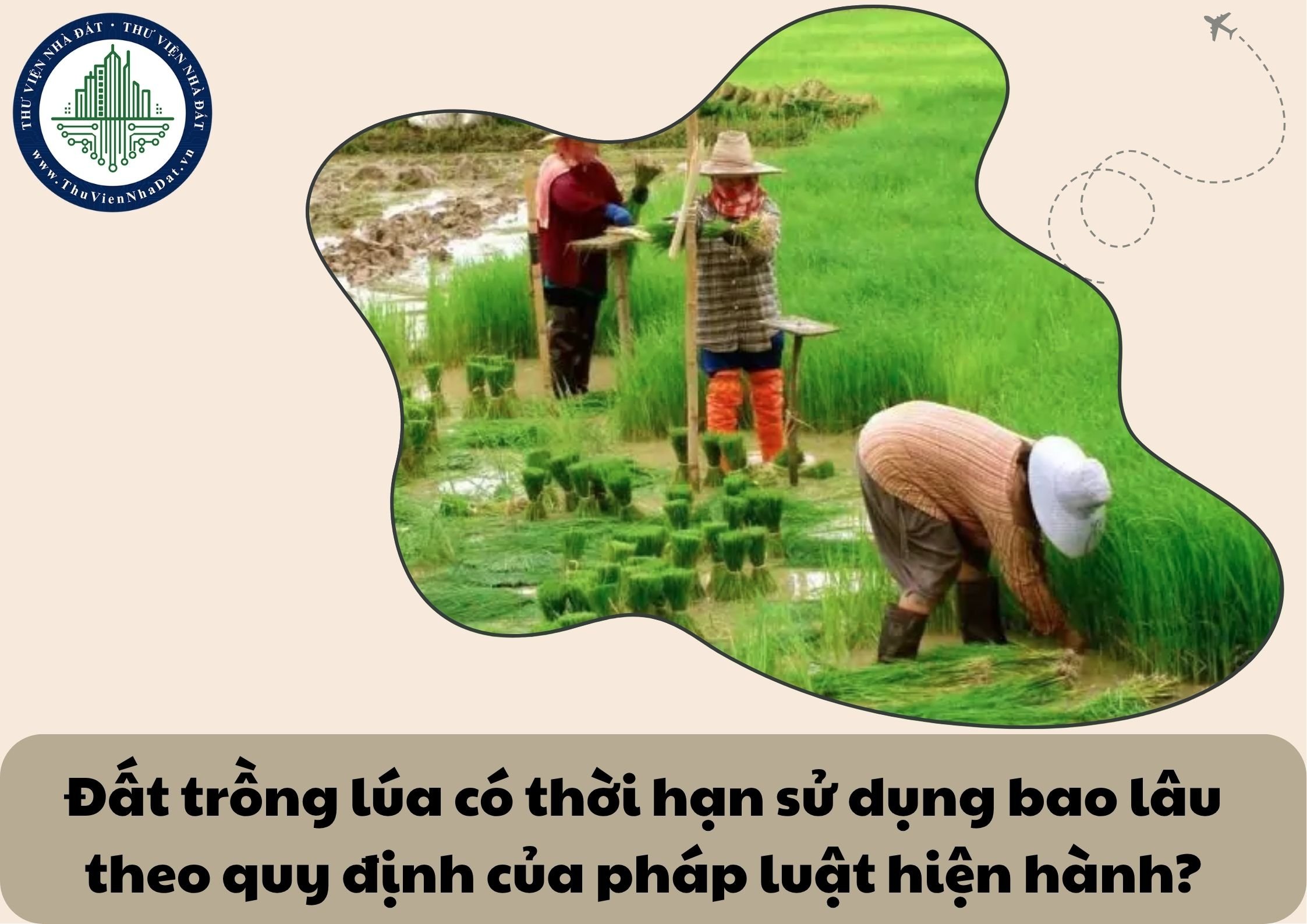 Đất trồng lúa có thời hạn sử dụng bao lâu theo quy định của pháp luật hiện hành?