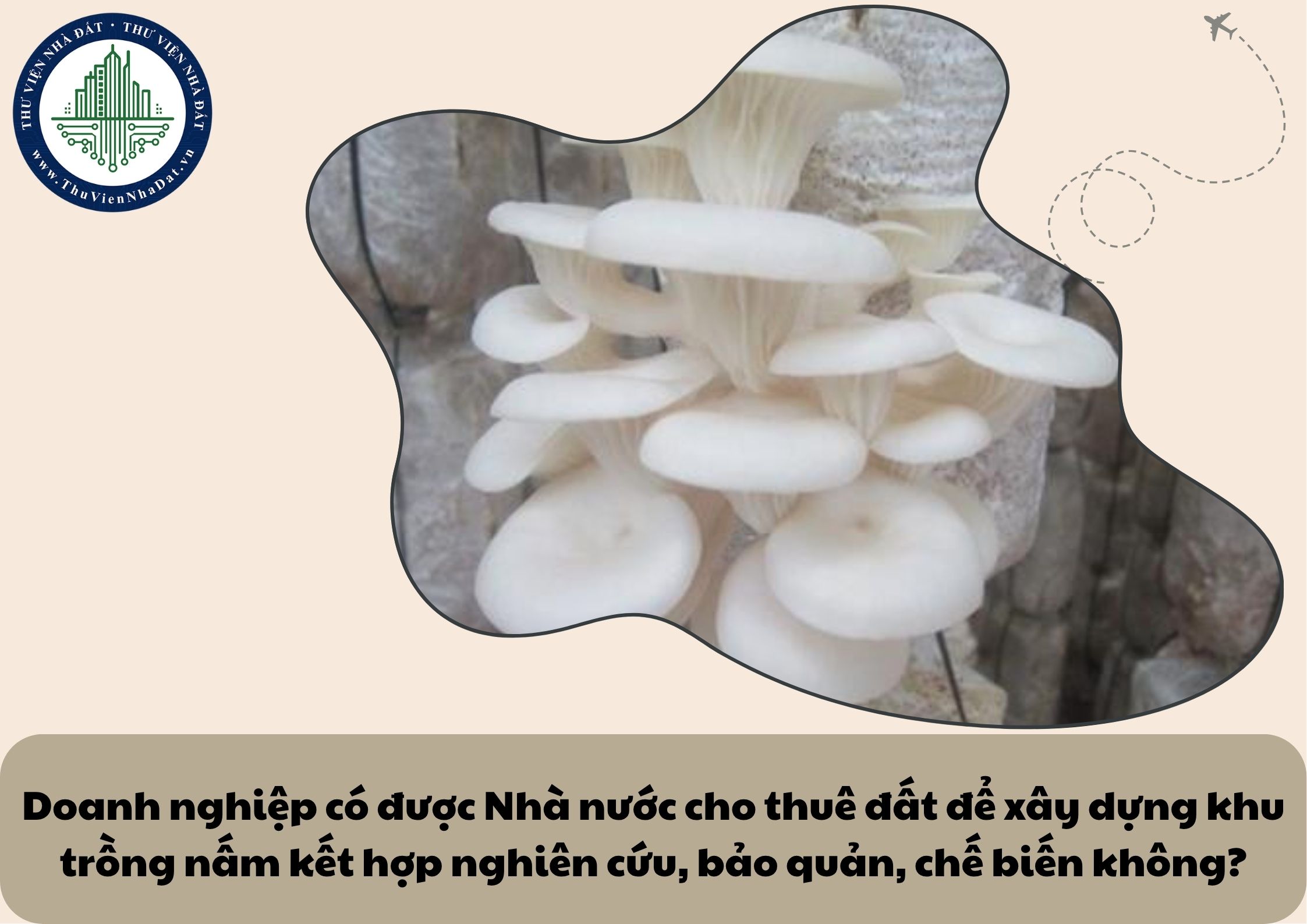 Doanh nghiệp có được Nhà nước cho thuê đất để xây dựng khu trồng nấm kết hợp nghiên cứu, bảo quản, chế biến không?