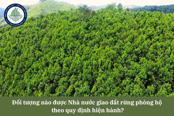 Đối tượng nào được Nhà nước giao đất rừng phòng hộ theo quy định hiện hành?