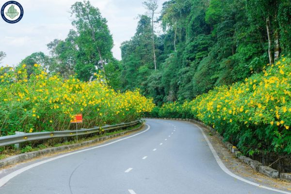 Bán đất nghỉ dưỡng tại Ba Vì, Hòa Bình diện tích từ 1000m2 giá thỏa thuận