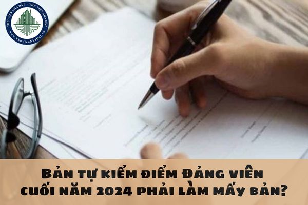 Bản tự kiểm điểm Đảng viên cuối năm 2024 phải làm mấy bản? Tải Bản tự kiểm điểm Đảng viên cuối năm 2024?