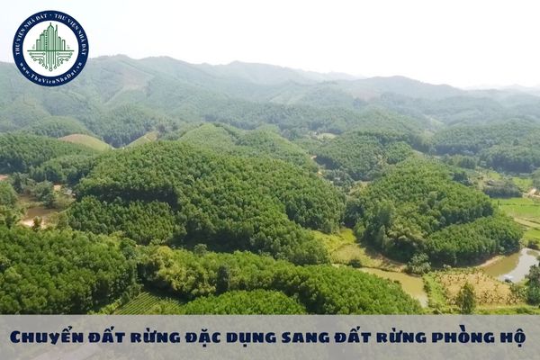 Chuyển đất rừng đặc dụng sang đất rừng phòng hộ được không?