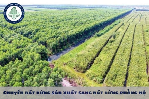 Chuyển đất rừng sản xuất sang đất rừng phòng hộ thì thời hạn sử dụng đất được quy định như thế nào?