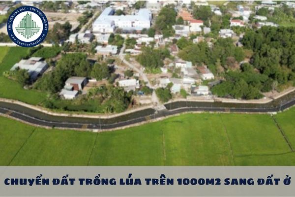 Chuyển đất trồng lúa trên 1000m2 sang đất ở không xin phép cơ quan có thẩm quyền sẽ bị phạt hành chính bao nhiêu tiền theo quy định mới?