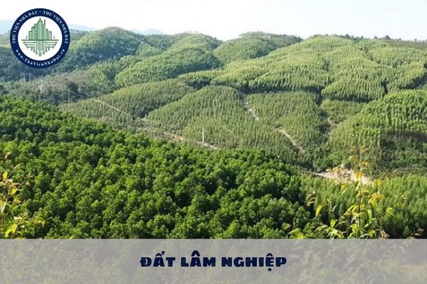 Chuyển đổi đất lâm nghiệp sang loại đất khác trong nhóm đất nông nghiệp không?