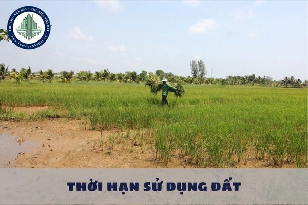 Chuyển nhượng đất nông nghiệp khi hết thời hạn sử dụng đất có được tiếp tục sử dụng nữa không?