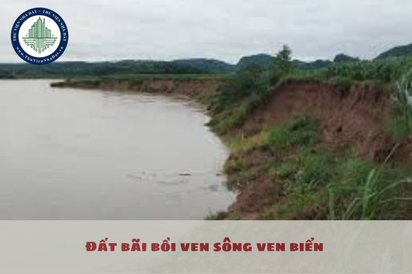 Đất bãi bồi ven sông ven biển bao gồm những loại đất nào?