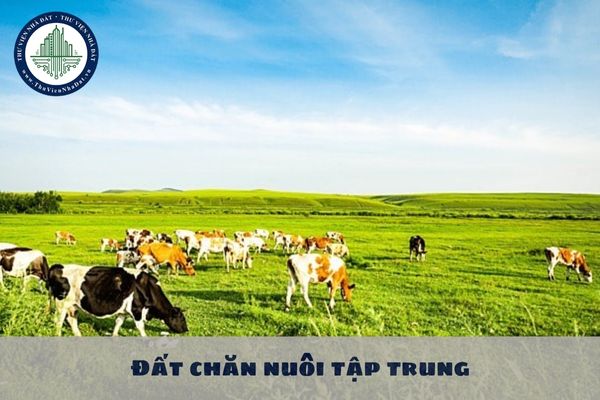 Đất chăn nuôi tập trung thuộc nhóm đất nào? Đất chăn nuôi tập trung có được sử dụng kết hợp đa mục đích không?