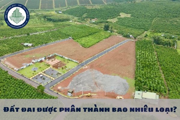 Đất đai được phân thành bao nhiêu loại? Phân loại đất theo Luật Đất đai 2024 như thế nào?