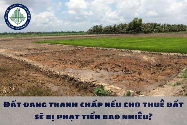 Đất đang tranh chấp nếu cho thuê đất sẽ bị phạt tiền bao nhiêu?