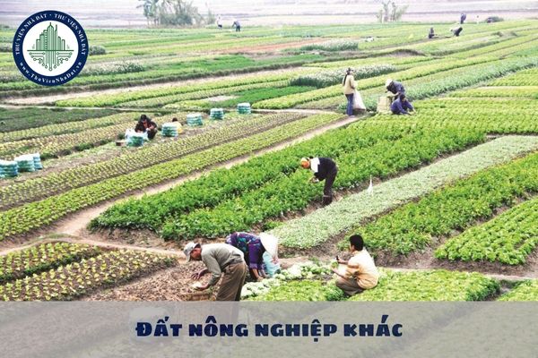 Đất nông nghiệp khác gồm những loại đất nào? Có được chuyển đổi đất trồng lúa sang đất nông nghiệp khác không?