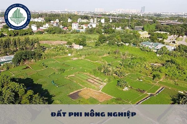 Đất phi nông nghiệp không phải là đất ở là những loại đất nào? Đất phi nông nghiệp không phải là đất ở có được chuyển đổi thành đất ở không?