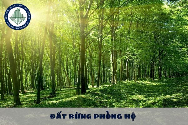 Người được Nhà nước giao đất rừng phòng hộ có được cấp Giấy chứng nhận quyền sử dụng đất không? 