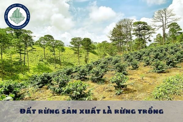 Đất rừng sản xuất là rừng trồng khi hết thời gian sử dụng đất có cần phải làm thủ tục gia hạn không?