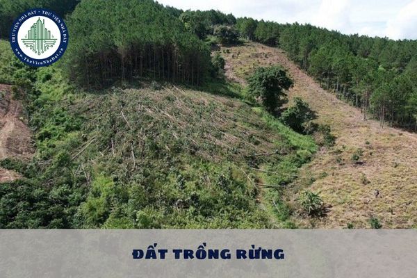 Hành vi không sử dụng đất trồng rừng trong thời hạn 24 tháng liên tục sẽ bị phạt hành chính như thế nào?