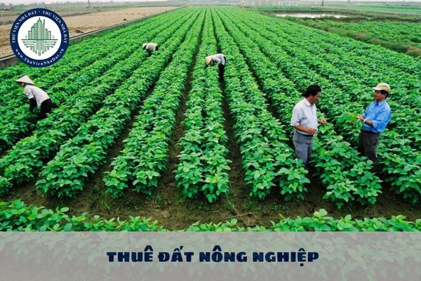 Hết thời hạn thuê đất nông nghiệp cá nhân nếu có nhu cầu thì Nhà nước xem xét tiếp tục cho thuê đất trong thời hạn bao lâu?