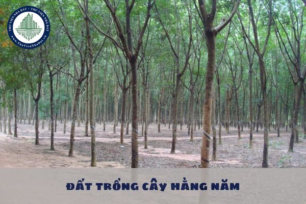 Không sử dụng đất trồng cây hằng năm có diện tích 02 ha trong thời hạn 12 tháng liên tục sẽ bị phạt bao nhiêu?