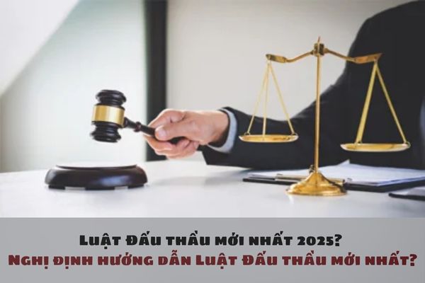 Luật Đấu thầu mới nhất 2025? Nghị định hướng dẫn Luật Đấu thầu mới nhất?