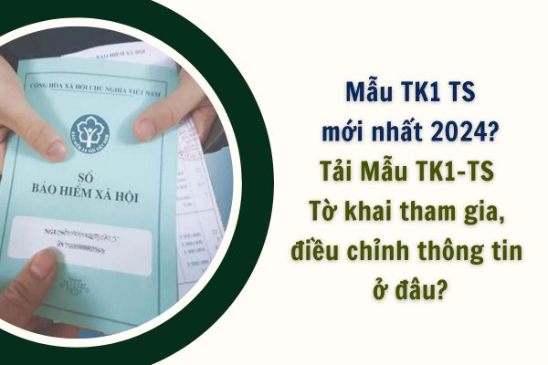 Mẫu TK1 TS mới nhất 2024? Tải Mẫu TK1-TS Tờ khai tham gia, điều chỉnh thông tin ở đâu?