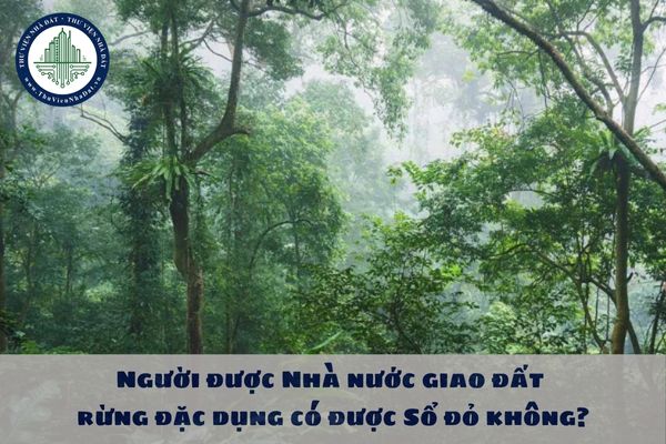 Người được Nhà nước giao đất rừng đặc dụng có được Sổ đỏ không?