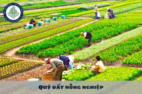 Quỹ đất nông nghiệp sử dụng vào mục đích công ích của xã, phường, thị trấn để sử dụng vào các mục đích nào?