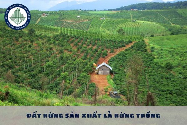 Cá nhân trực tiếp sản xuất nông nghiệp sử dụng đất rừng sản xuất là rừng trồng thì thời hạn giao đất là bao lâu?