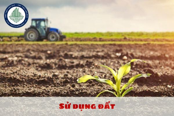 Sử dụng đất cần đảm bảo những nguyên tắc gì?