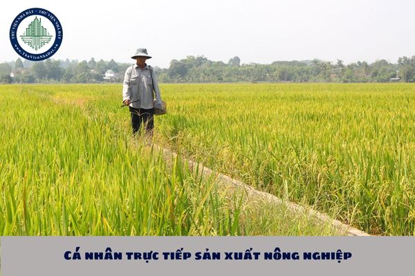 Cá nhân trực tiếp sản xuất nông nghiệp được giao đất nông nghiệp trong hạn mức quy định như nào?