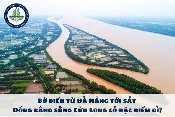 Bờ biển từ Đà Nẵng tới sát Đồng bằng sông Cửu Long có đặc điểm gì? Tra cứu bảng giá đất Đà Nẵng mới nhất?