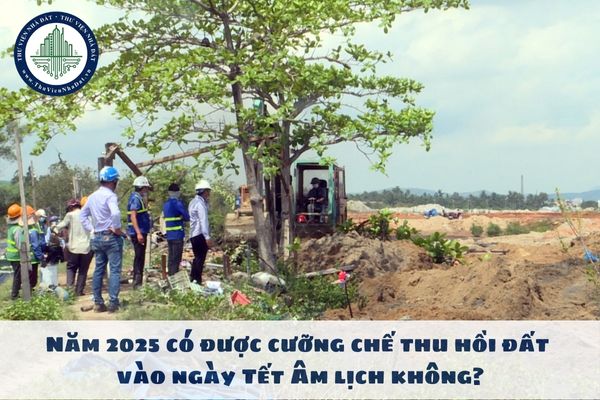 Năm 2025 có được cưỡng chế thu hồi đất vào ngày Tết Âm lịch không?