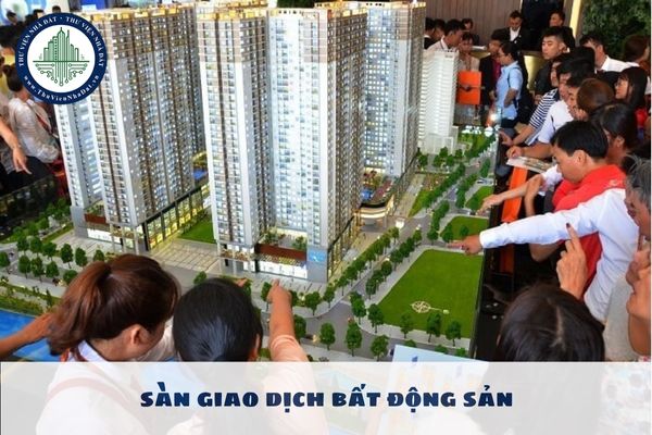 Sàn giao dịch bất động sản phải được thành lập và đăng ký hoạt động như thế nào?