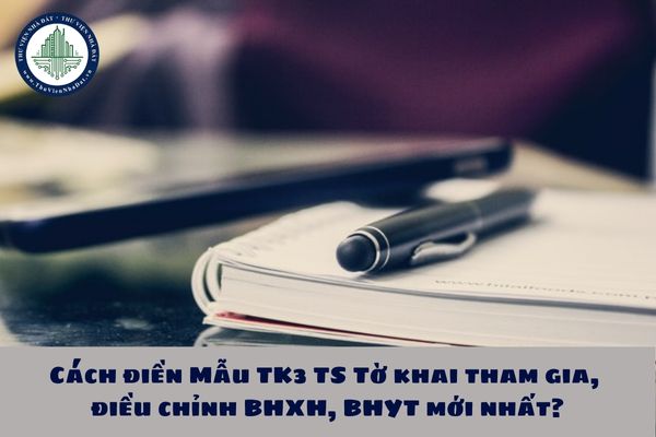 thuviennhadat.vn