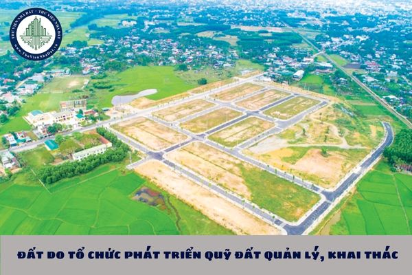 Có mấy loại đất do tổ chức phát triển quỹ đất quản lý, khai thác?