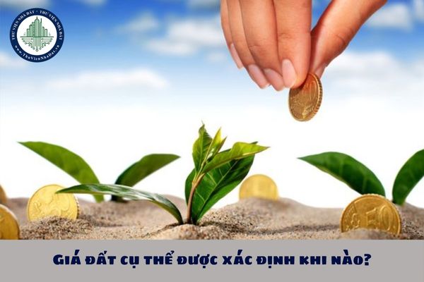 Giá đất cụ thể được xác định khi nào?