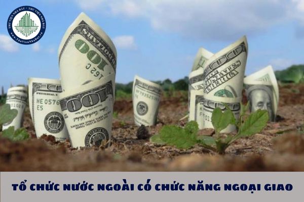 Người sử dụng đất là tổ chức nước ngoài có chức năng ngoại giao gồm những cơ quan nào?