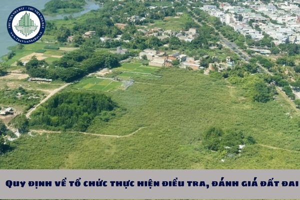 Quy định về tổ chức thực hiện điều tra, đánh giá đất đai theo Nghị định 101 2024?