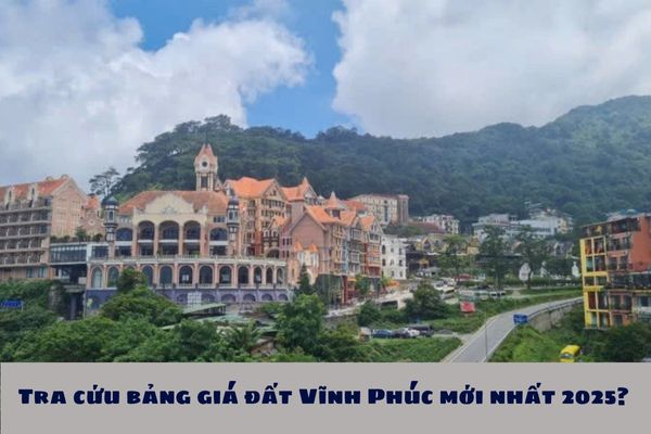 Tra cứu bảng giá đất Vĩnh Phúc mới nhất 2025?