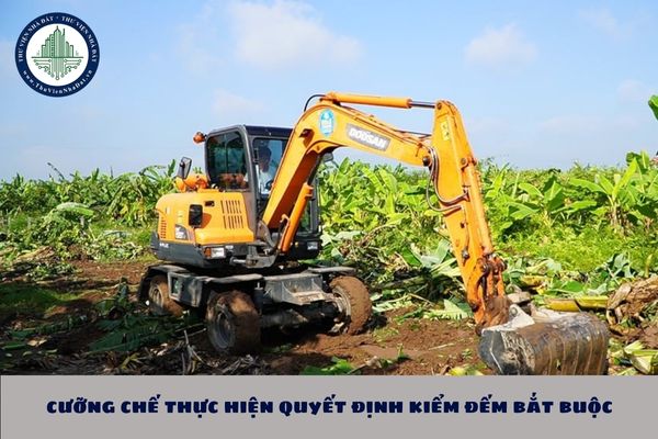Việc cưỡng chế thực hiện quyết định kiểm đếm bắt buộc khi phải bảo đảm các nguyên tắc nào?