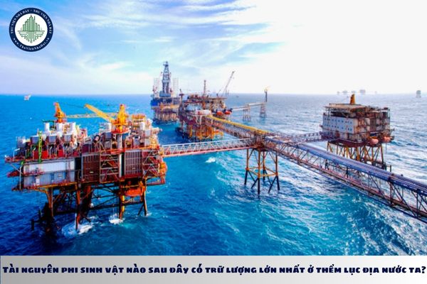 Tài nguyên phi sinh vật nào sau đây có trữ lượng lớn nhất ở thềm lục địa nước ta?