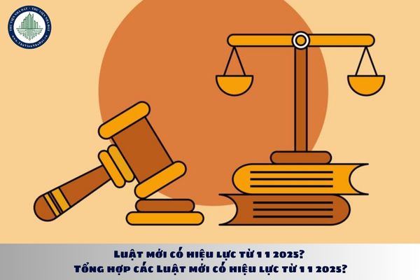 Luật mới có hiệu lực từ 1 1 2025? Tổng hợp các Luật mới có hiệu lực từ 1 1 2025?
