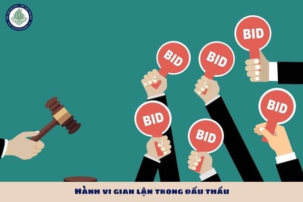 Hành vi gian lận trong đấu thầu bao gồm những hành vi nào?