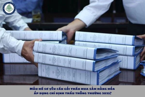 Mẫu hồ sơ yêu cầu gói thầu mua sắm hàng hóa áp dụng chỉ định thầu thông thường 2025?